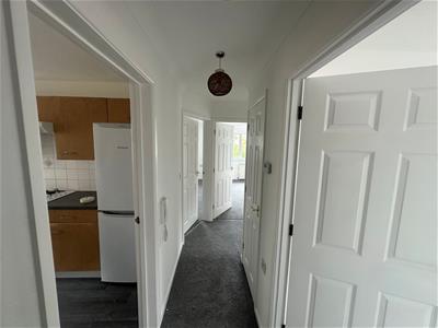 Picture 8